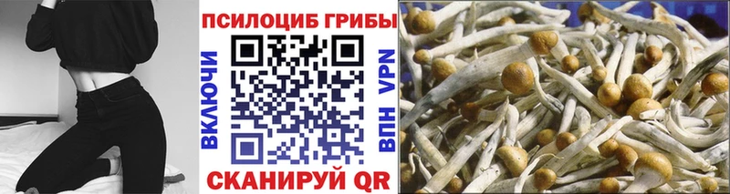 Галлюциногенные грибы GOLDEN TEACHER  Дзержинский 